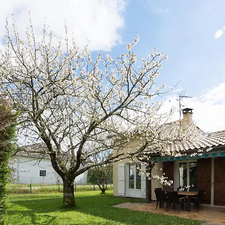 Holiday home 3 Bedrooms, Very Quiet, Fully Equiped, Between Bordeaux And Saint-emilion *